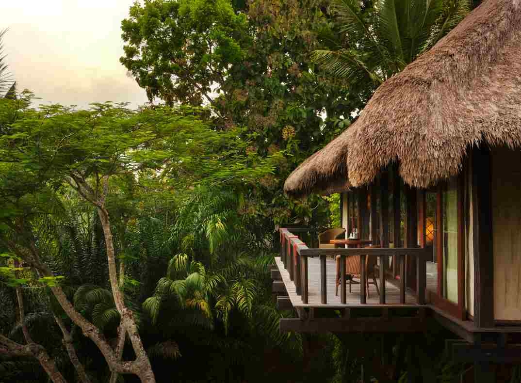A wooden balcony under a thatched roof overlooks a dense green jungle forest.
