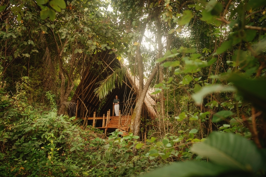 A person stands on the deck of a secluded wooden hut nestled in dense forest foliage.
