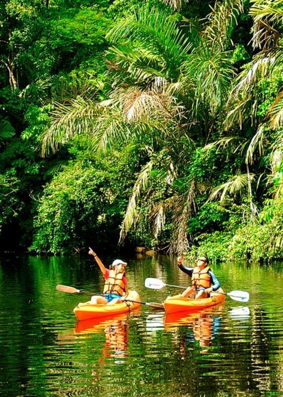 Two people in orange kayaks paddling through a lush jungle waterway at Tortuga Lodge Costa Rica.