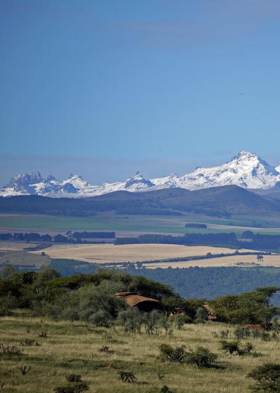 A wide landscape featuring a grassy foreground and distant snow-covered mountain peaks under a clear blue sky.