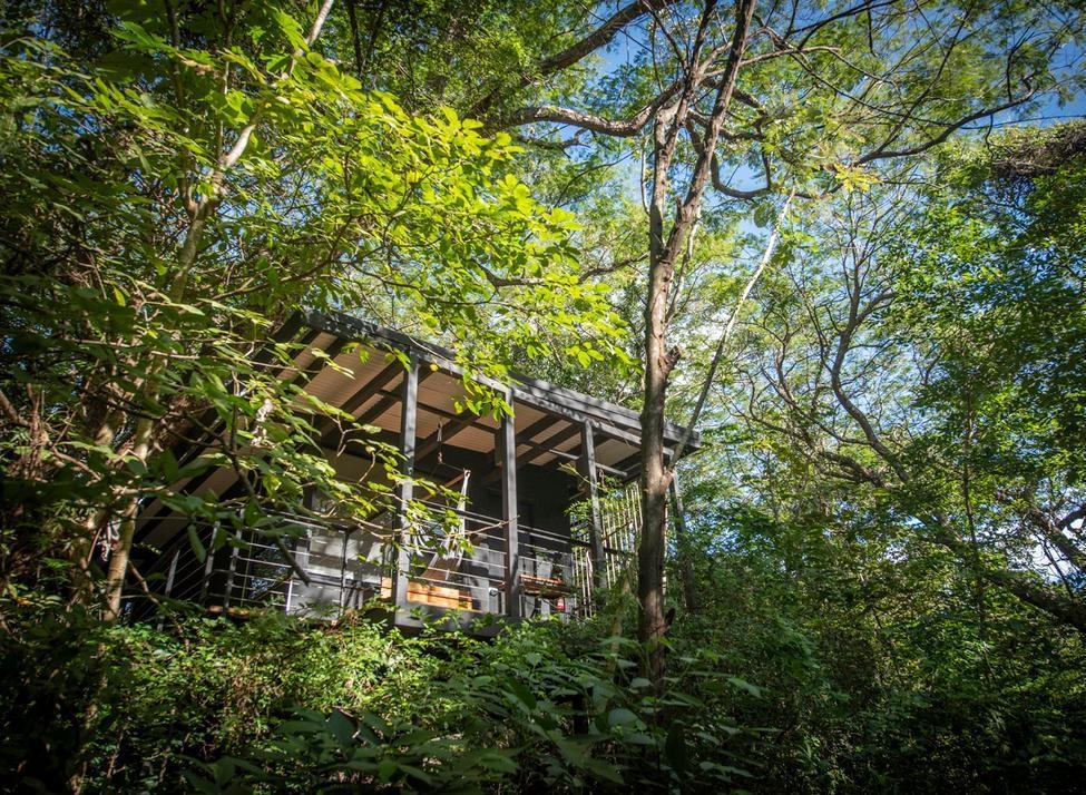A wooden bungalow surrounded by trees in the rainforest in Costa Rica
