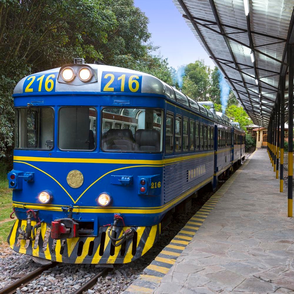 Blue and yellow train at station platform surrounded by trees.