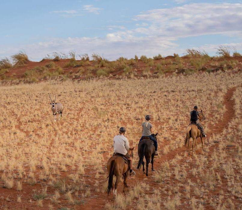 People on horseback riding through dry desert grass toward a wild oryx standing near a red dune.