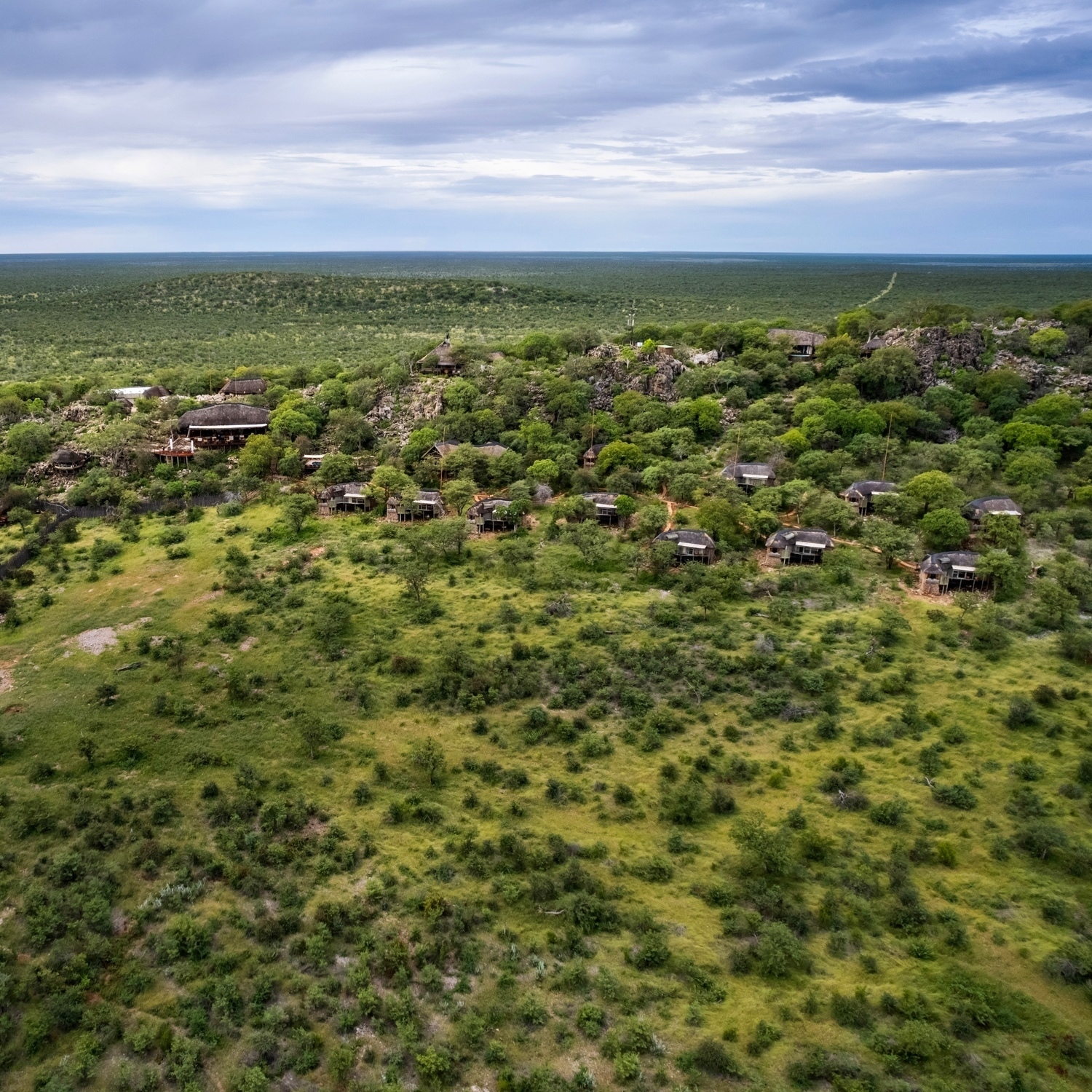 Aerial view of Ongava Lodge chalets spread across a tree-covered hill overlooking the vast savanna.