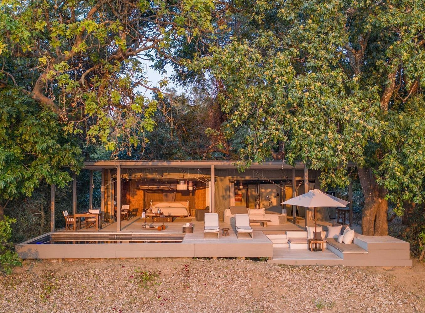 Exterior of a luxury safari tent nestled in trees with a wooden deck, lounge seating, and a private plunge pool.