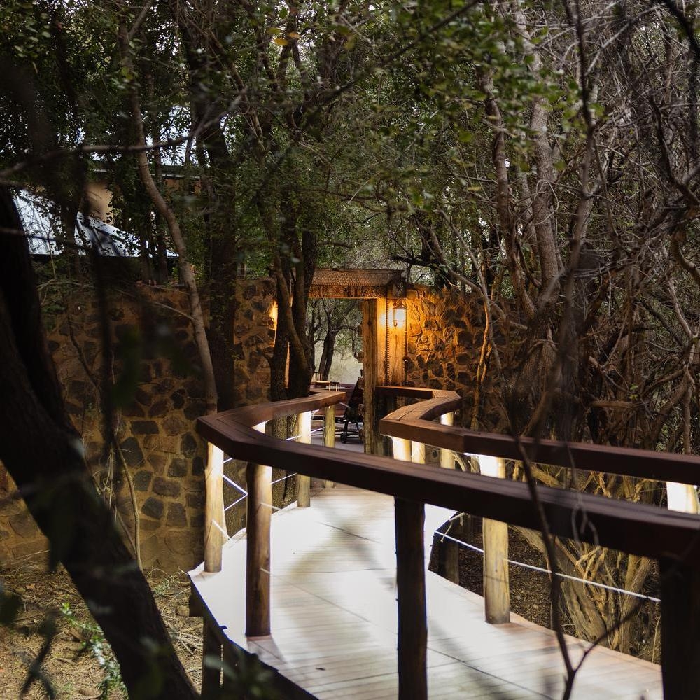 A raised wooden walkway curving through a forest towards a lit stone entrance at Jaci's Private Lodge.