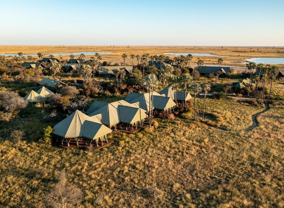 Aerial view of Jack's Camp showing green safari tents and palm trees in a wide African savanna landscape.