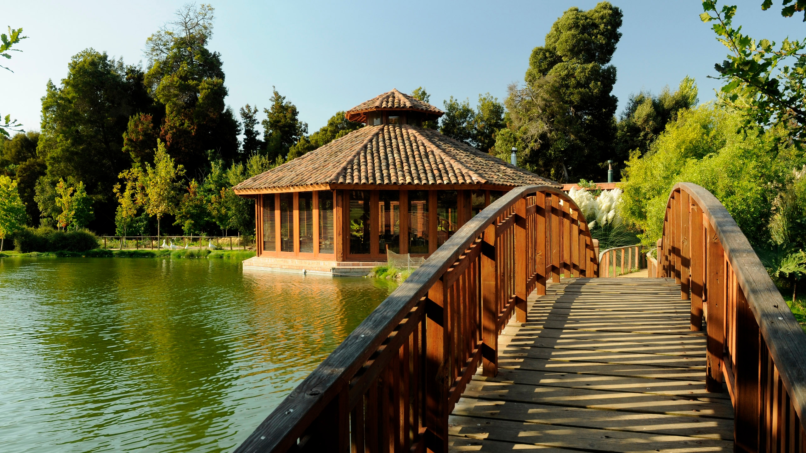 matetic-river-and-bridge