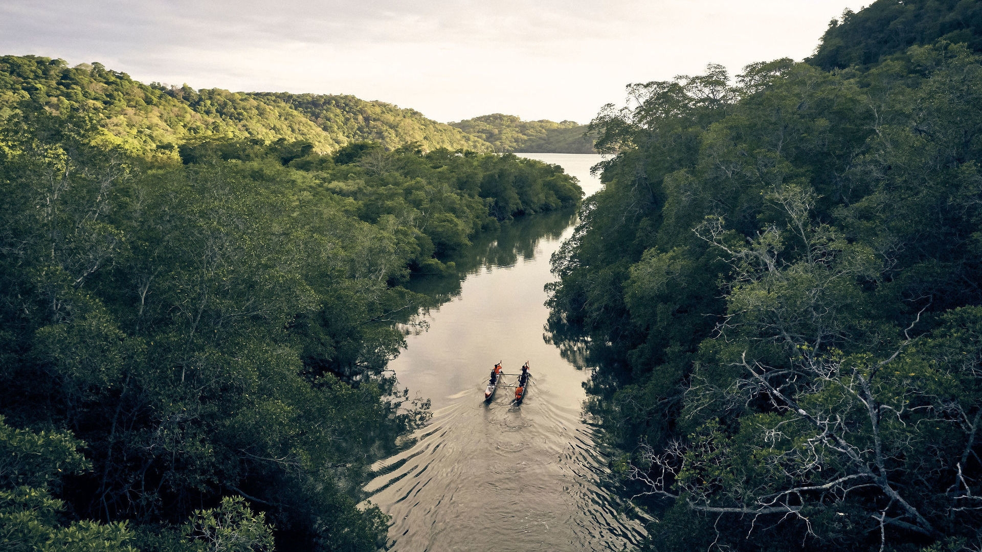High angle view of a boat with rowers traveling through a narrow river between thick green forests.