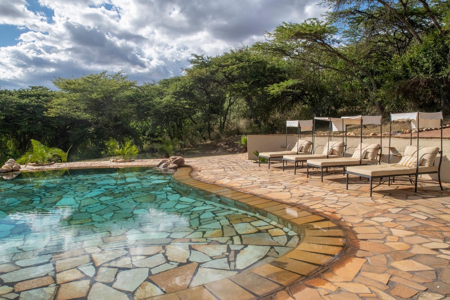 Stone swimming pool and paved patio with four canopied lounge chairs surrounded by green trees under a cloudy sky.
