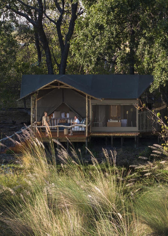 An elevated canvas tent with a wooden deck nestled among tall green trees in a wilderness setting.