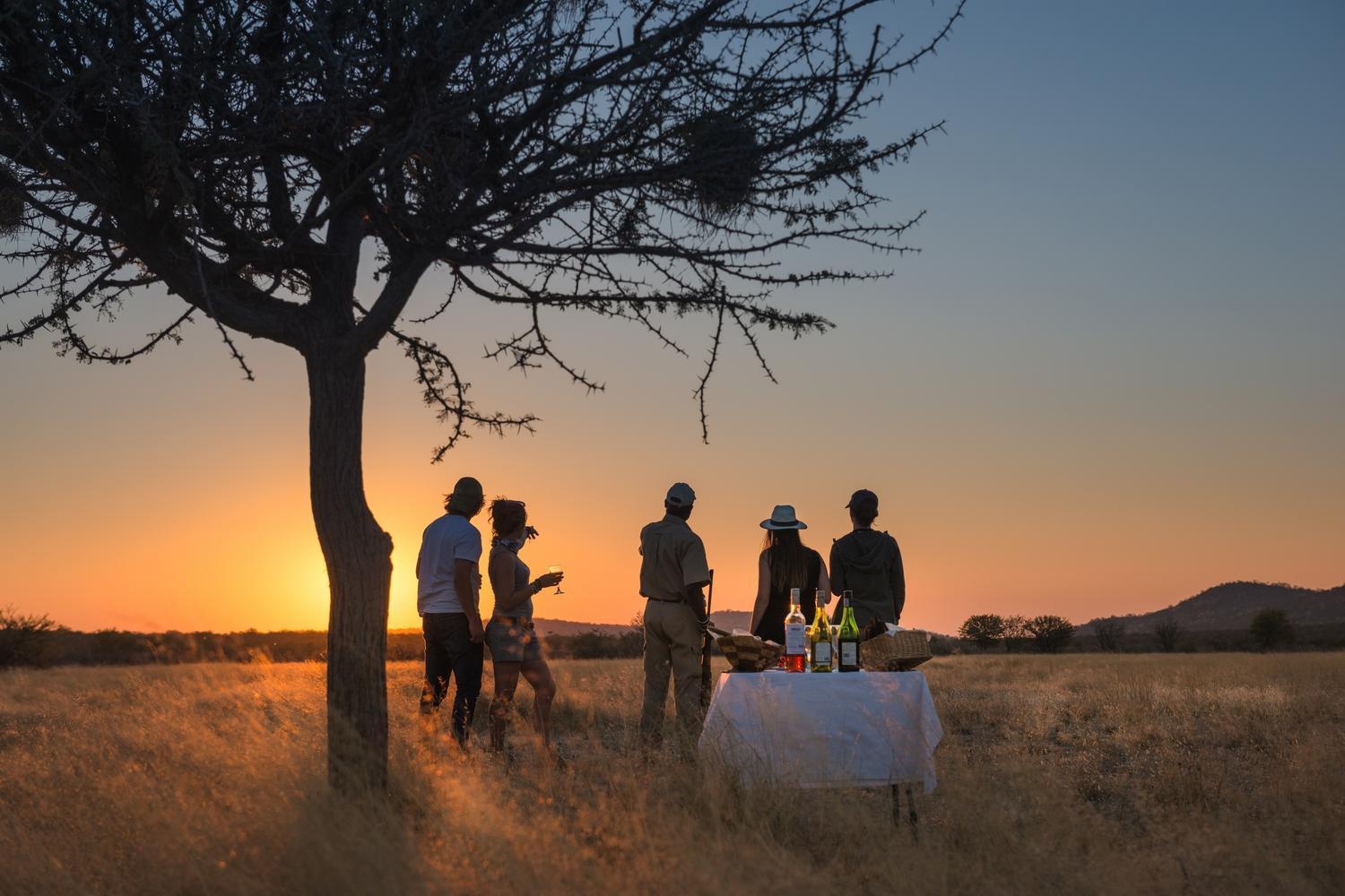 Silhouetted people enjoy sundowner drinks in a grassy savannah field at sunset.