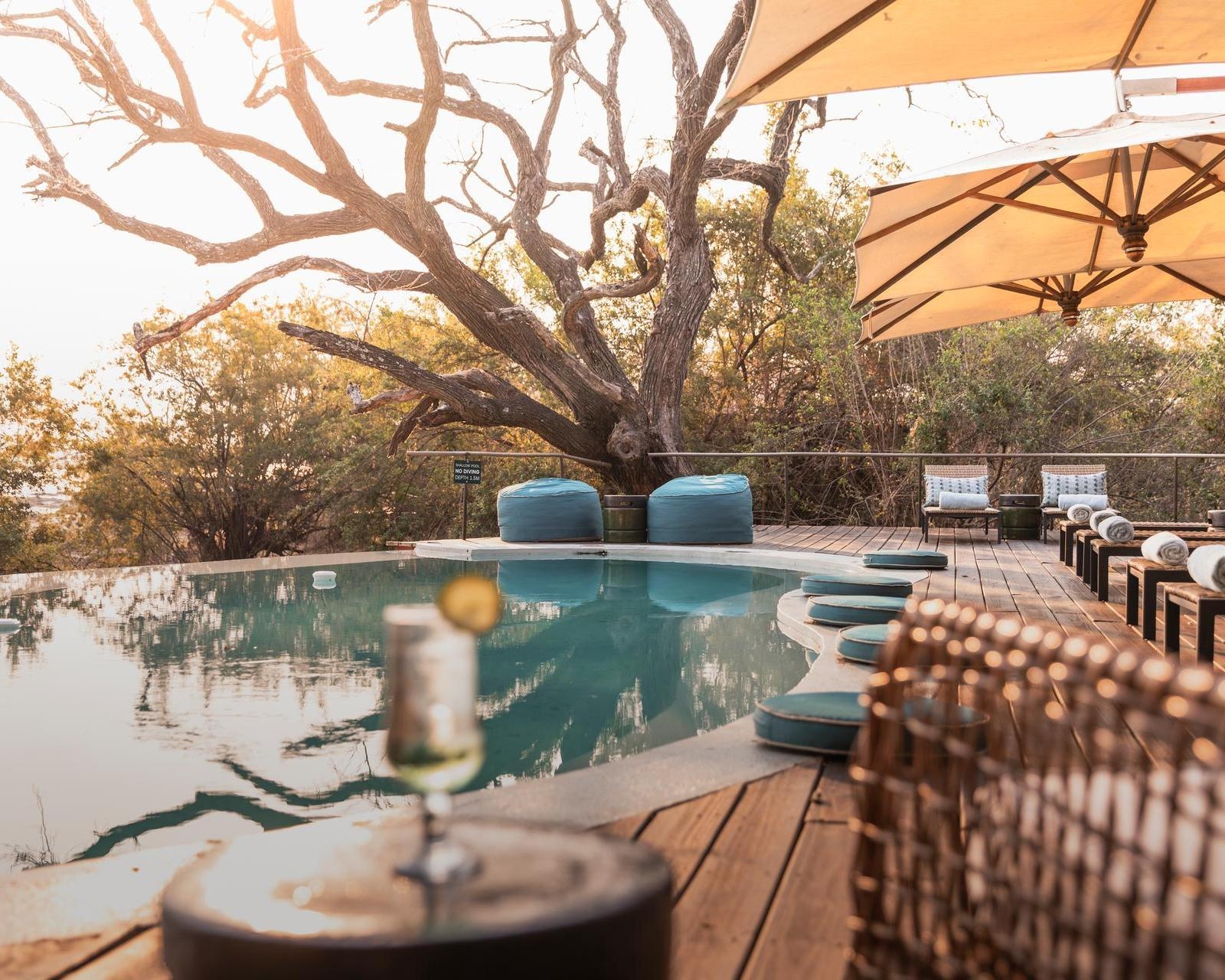 Pool with a wooden deck, lounge chairs, and a tree