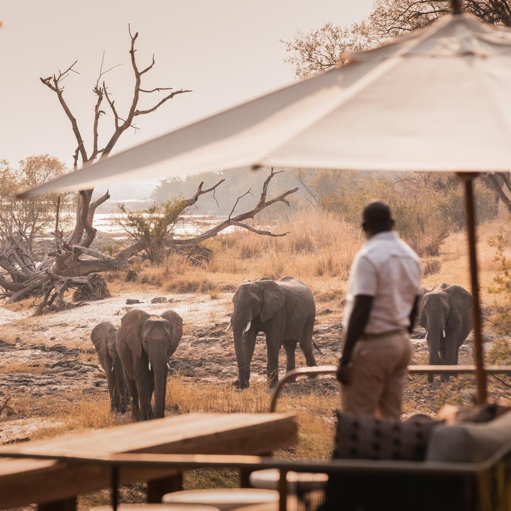 A person standing on a shaded wooden deck looking out at three elephants walking through the dry brush near a safari lodge.