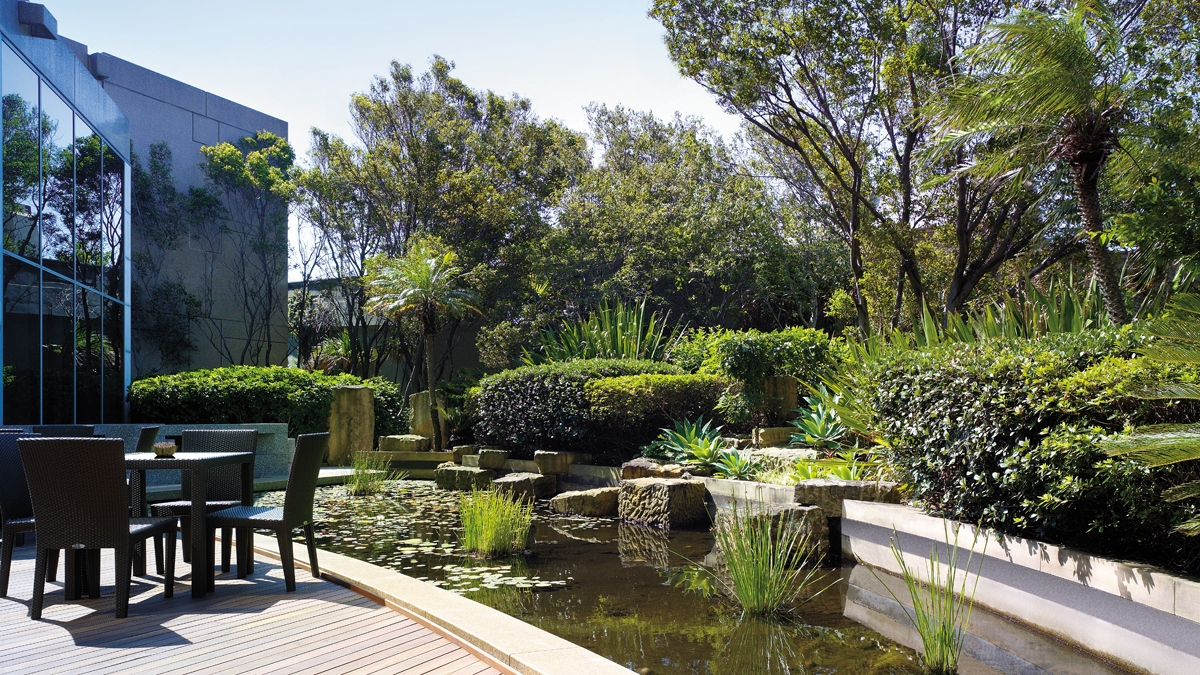 shangri-la-sydney-terrace