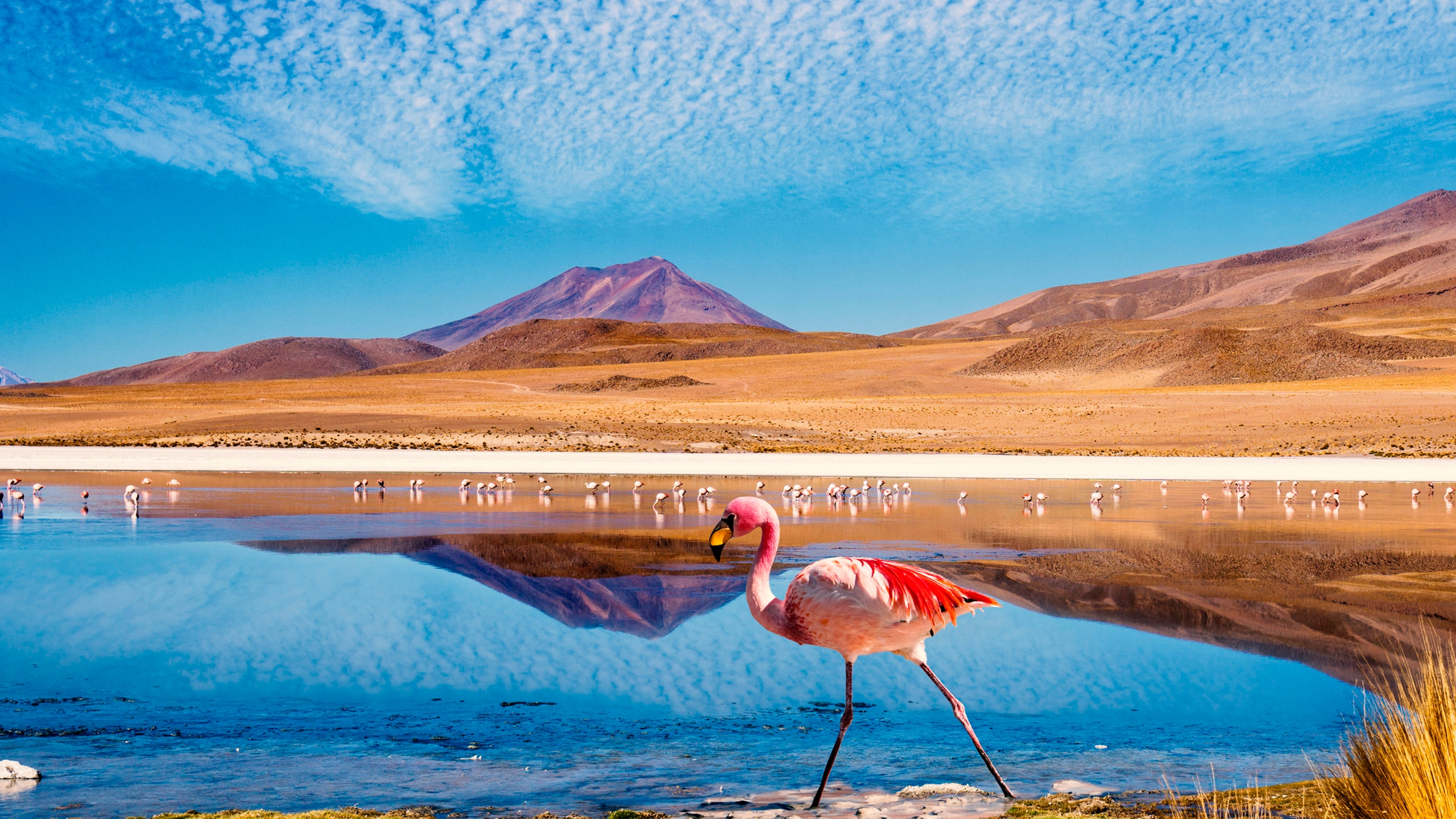 When is the Best Time to Visit Bolivia?
