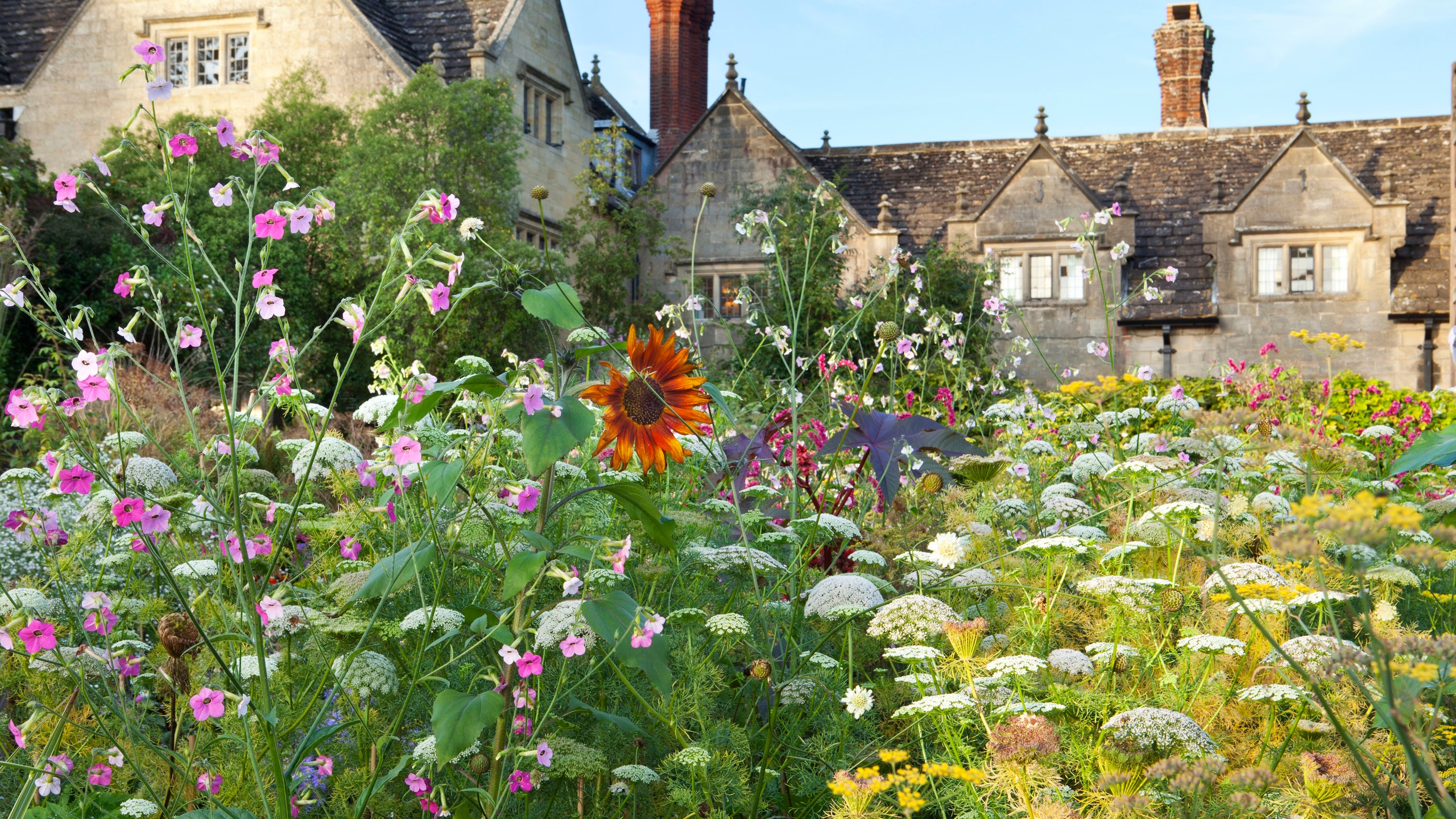 gravetye-manor-wildflowers