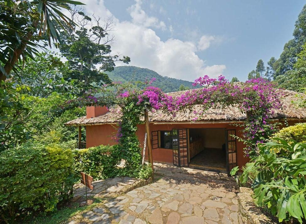 Stone path leading to a thatched-roof building with open doors, framed by bright purple flowers at Mahogany Springs uganda.