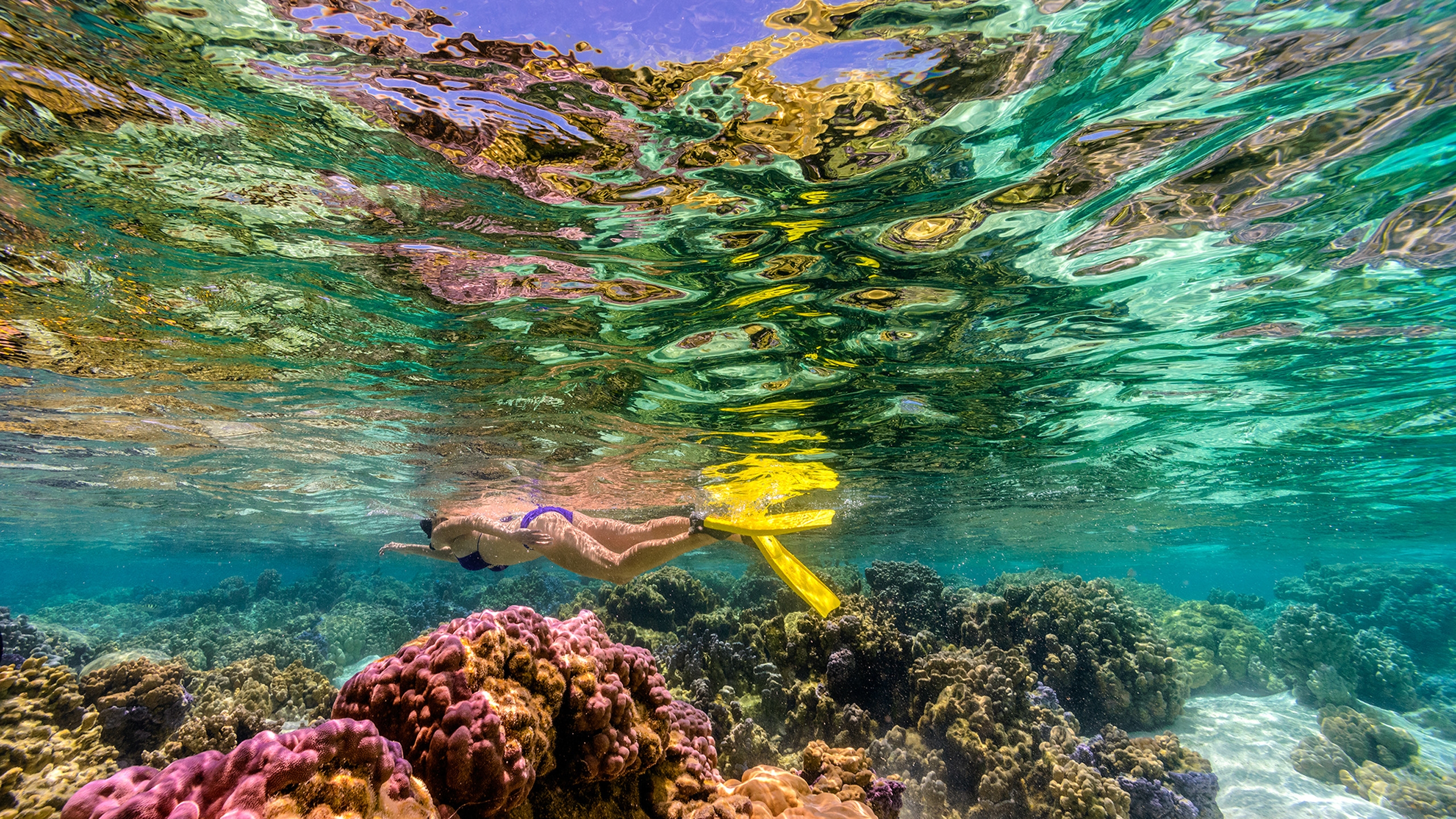 le-tahaa-activities-snorkel
