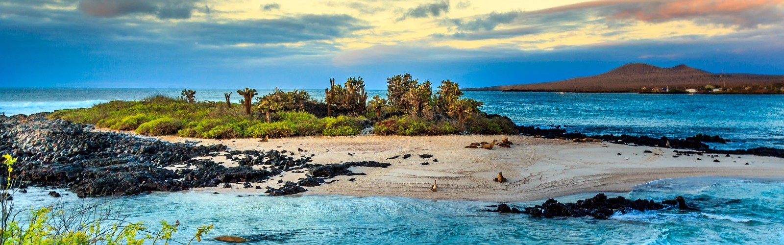 Best Time to Visit Galapagos Islands: Month-by-Month Guide