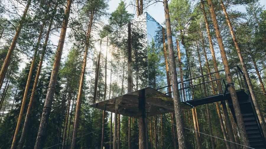 Low angle view of the Mirrorcube suspended in tall trees, reflecting the forest and bright sky.