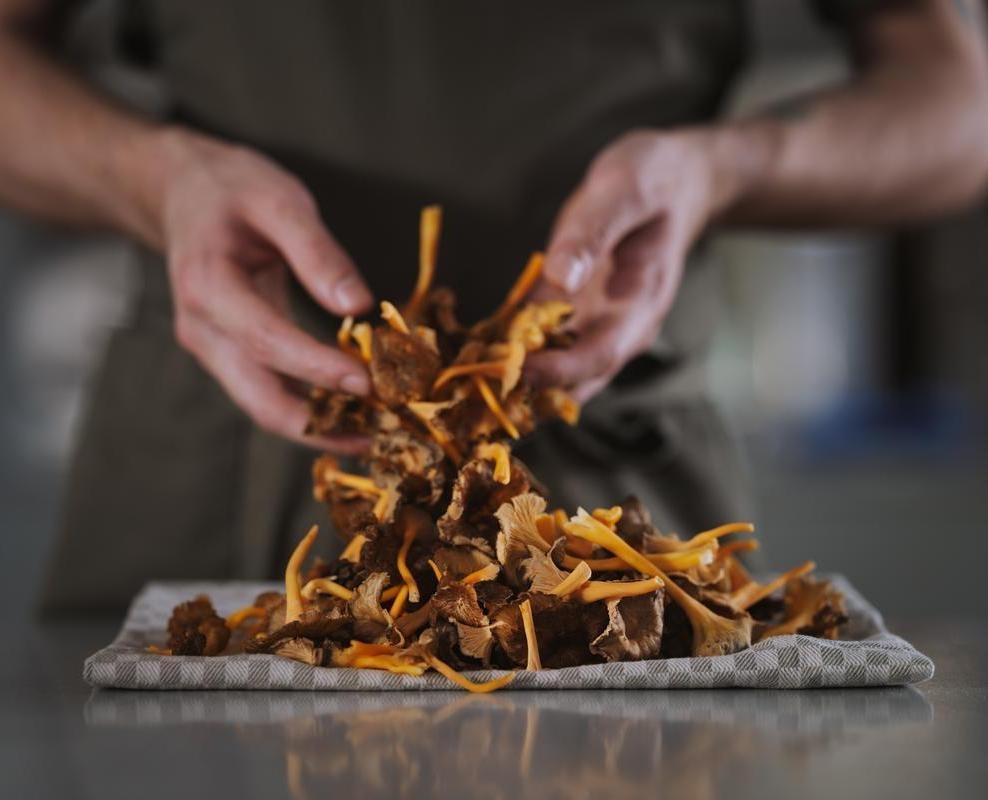 Close-up of a person's hands over a pile of brown and orange wild mushrooms on a checkered cloth.