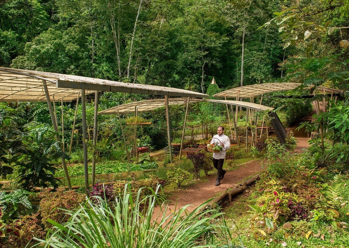 A chef collecting produce from the vegetable garden at Origins Lodge, Costa Rica