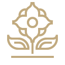 Jacada Travel vector art of a flower drawn in bold, gold line