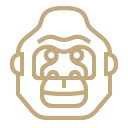 Jacada Travel gorilla face in bold golden line work