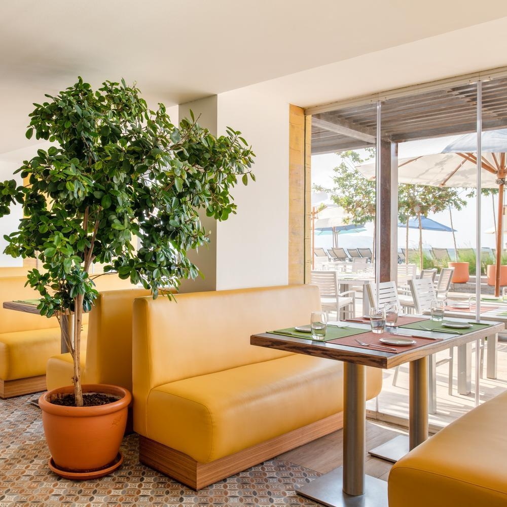 Yellow booth seating and a potted plant in a sunny dining room at Kempinski Hotel Aqaba, with sea views.