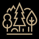 Northern Lights main icon
