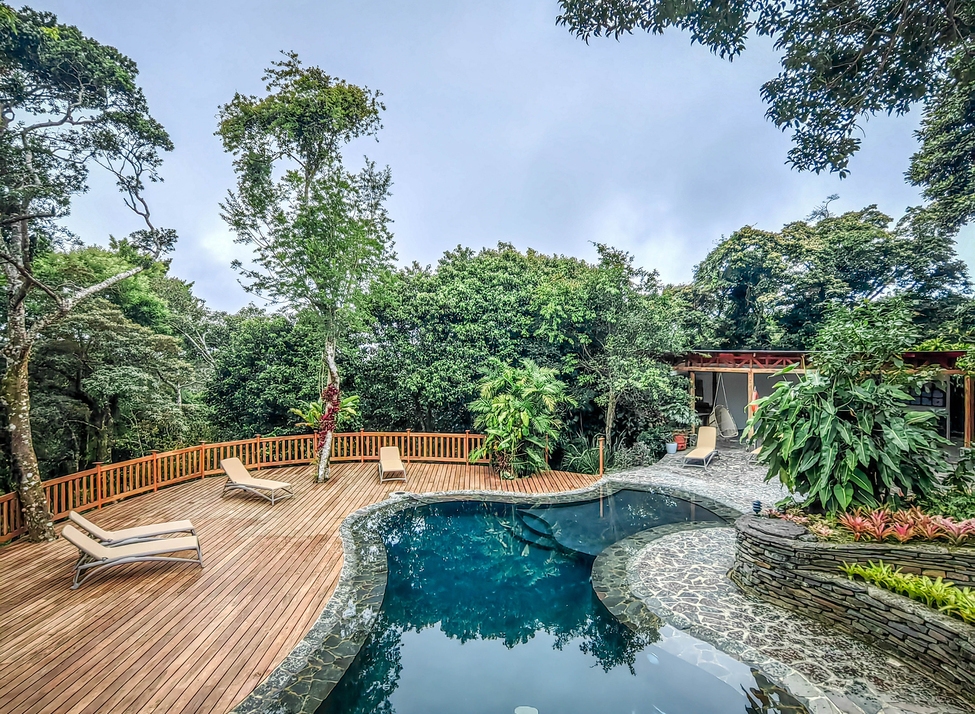 An outdoor swimming pool with lounge chairs on a wooden deck surrounded by thick green trees.