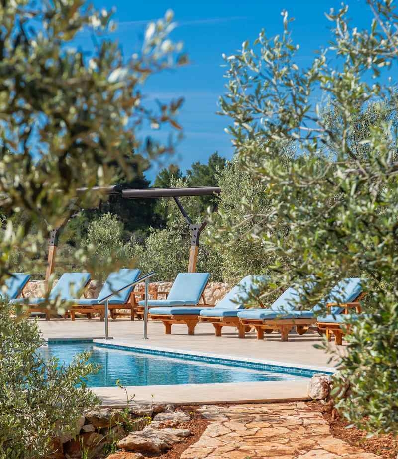 Blue sun loungers beside an outdoor swimming pool surrounded by lush olive trees under a clear sky.