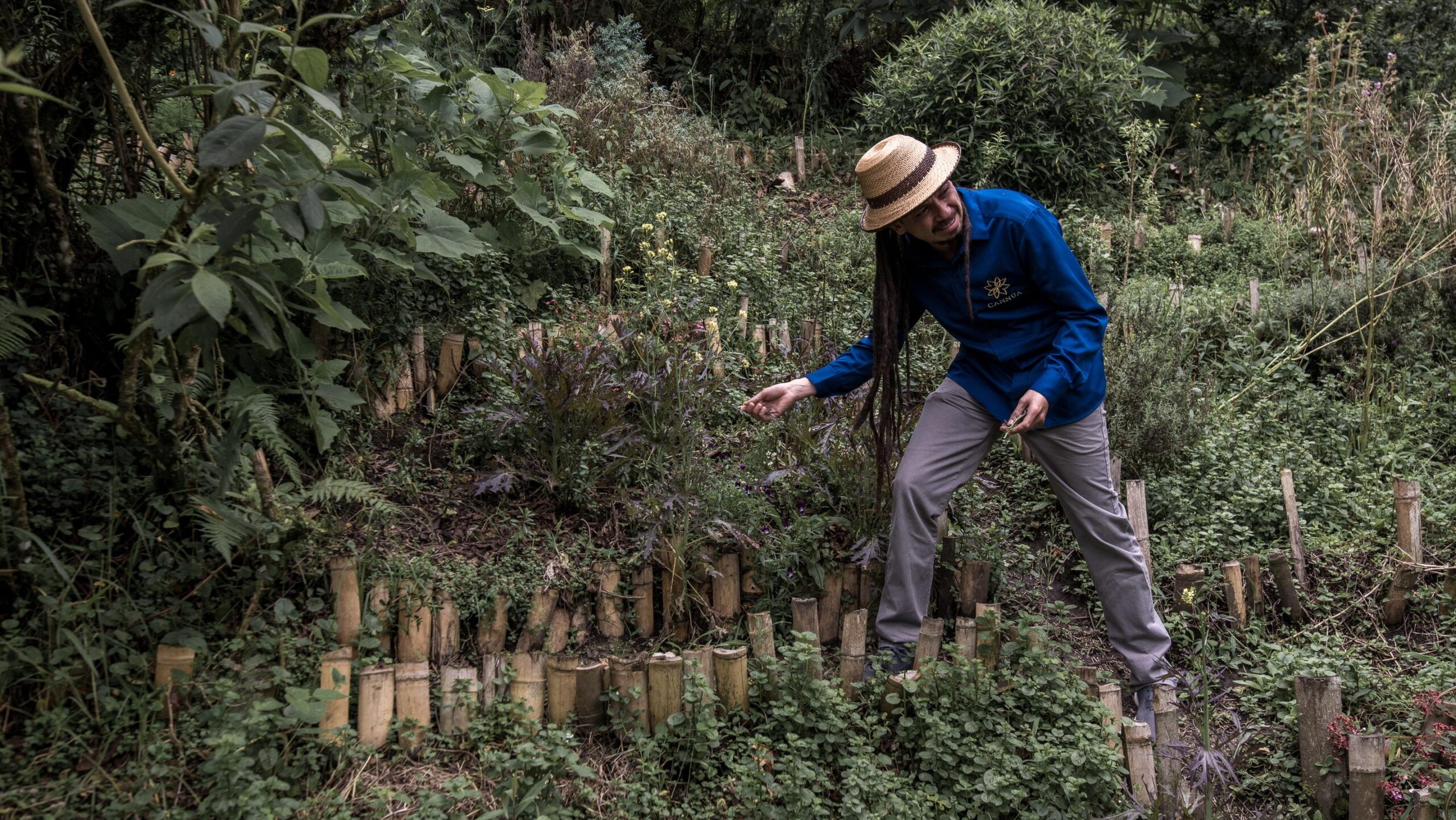 A person in a blue jacket tending to plants in a lush garden.
