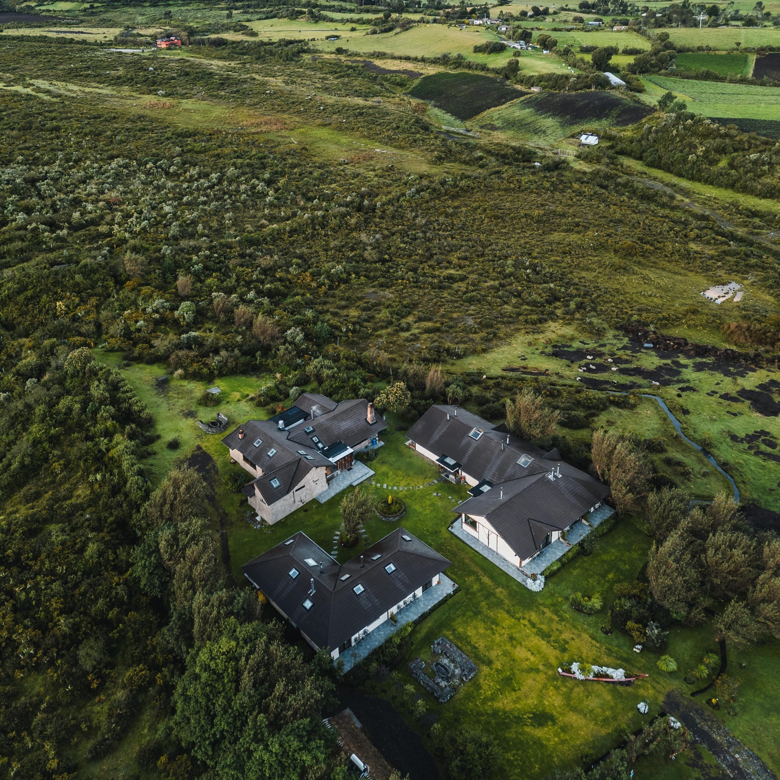 Aerial view of rural houses surrounded by greenery with overcast lighting.