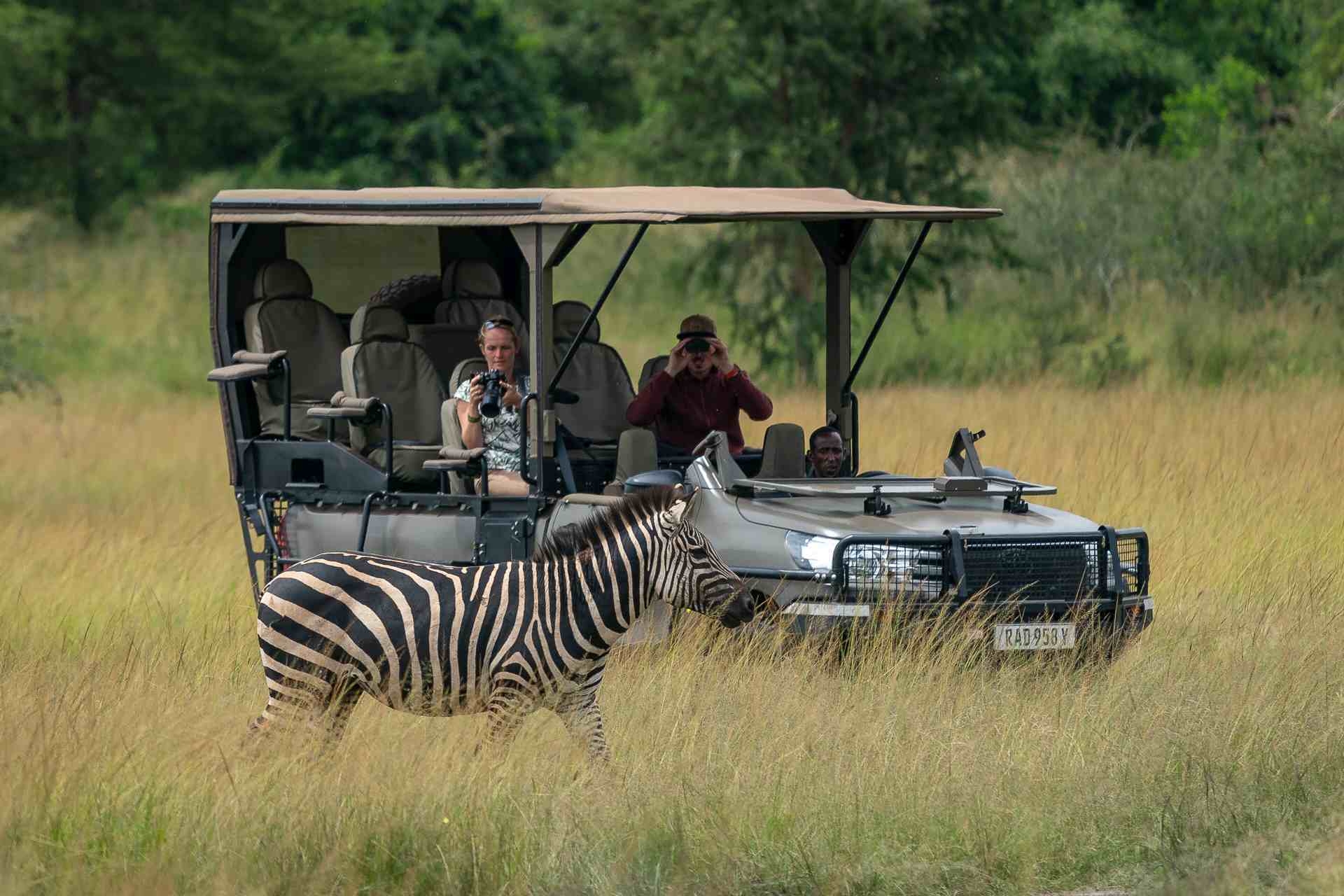 On safari at Wilderness Magashi Peninsula