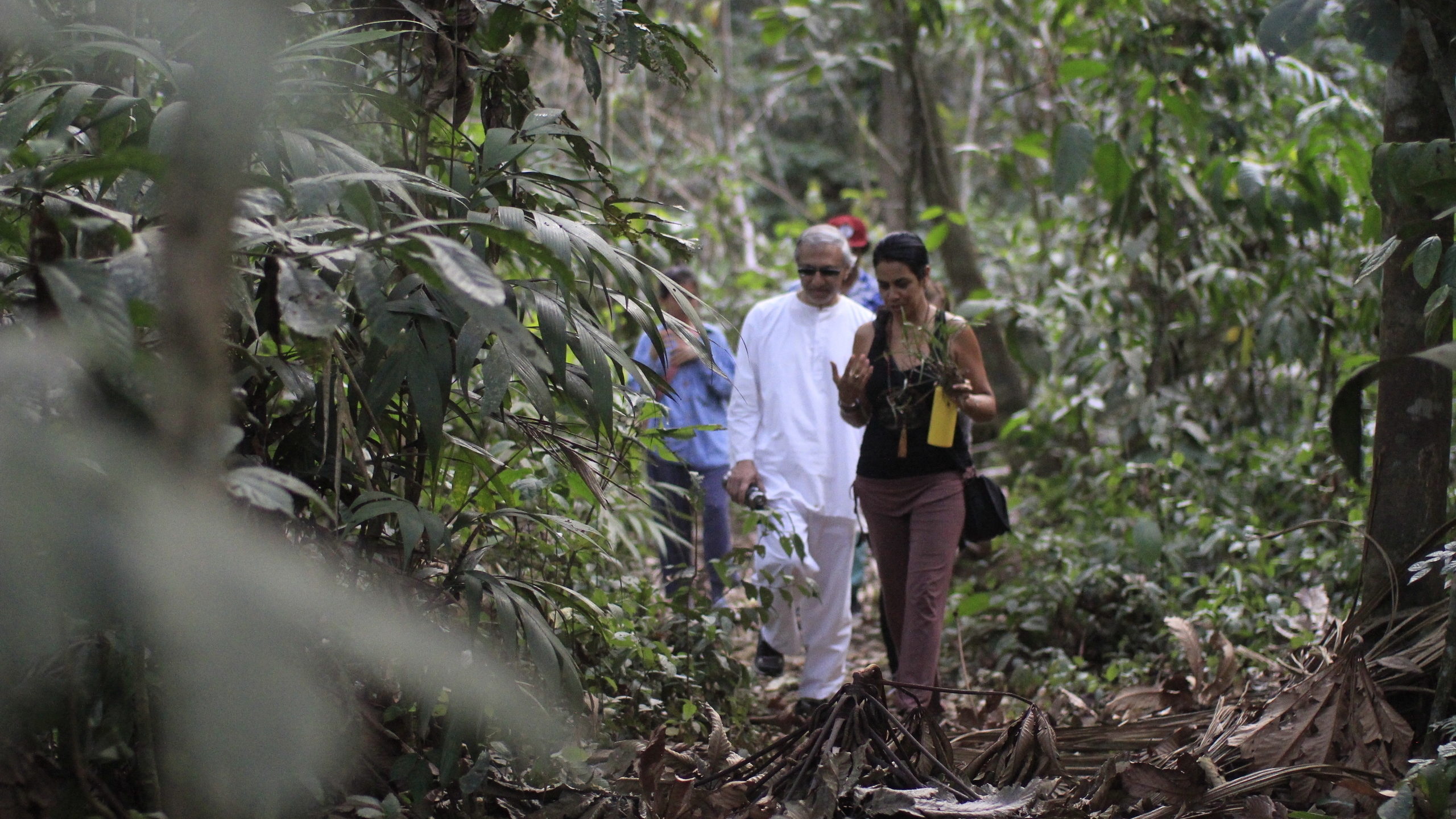 Casa Amazonas surrounding trails