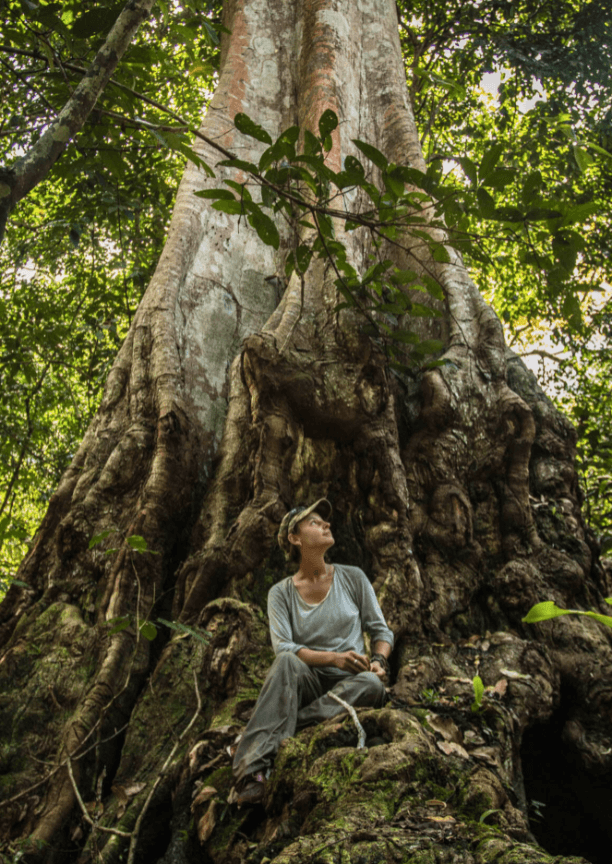 A woman seated at the base of a large and gnarled tree trunk in the forest