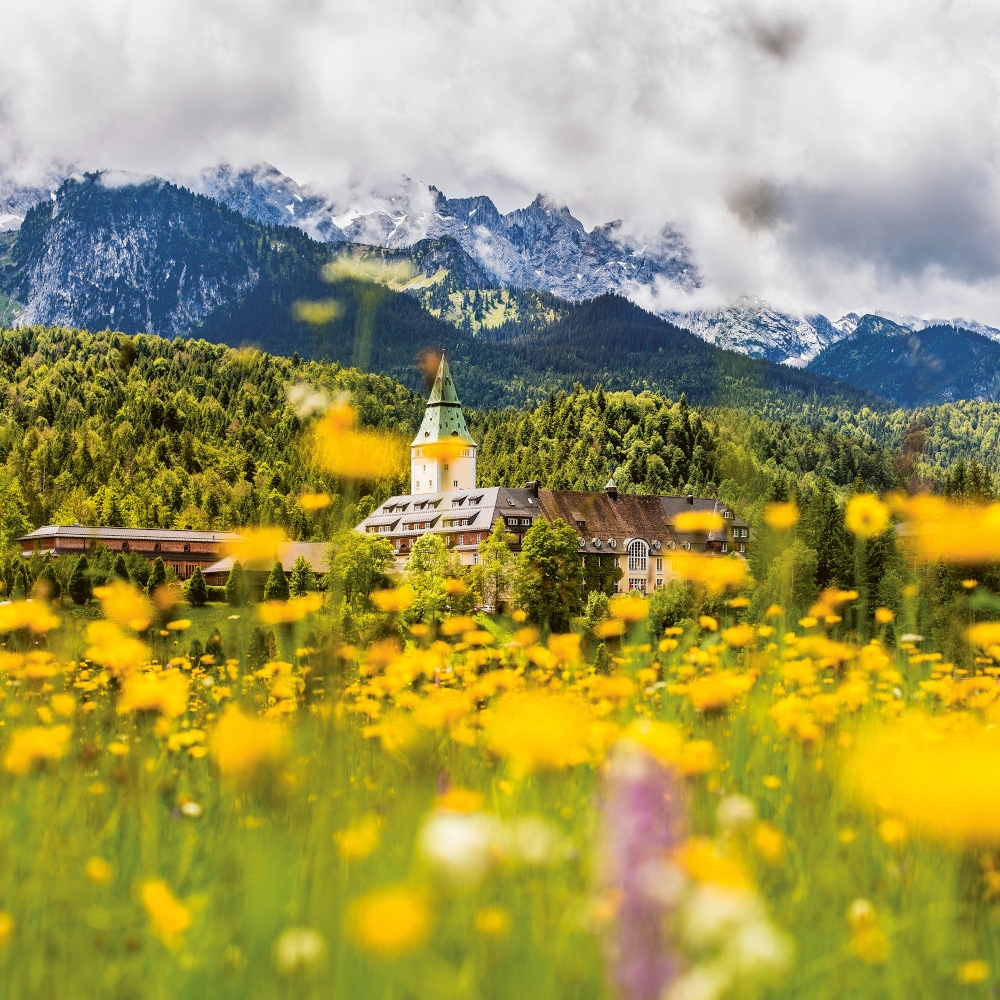 Exterior shot of the castle spire seen through a field of yellow flowers, with snow-capped mountains beyond.