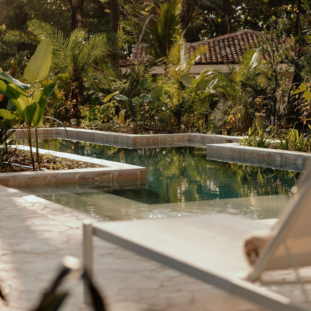 Exterior of a swimming pool with lounge chair in the foreground and beyond the pool, palm trees and green shrubs.