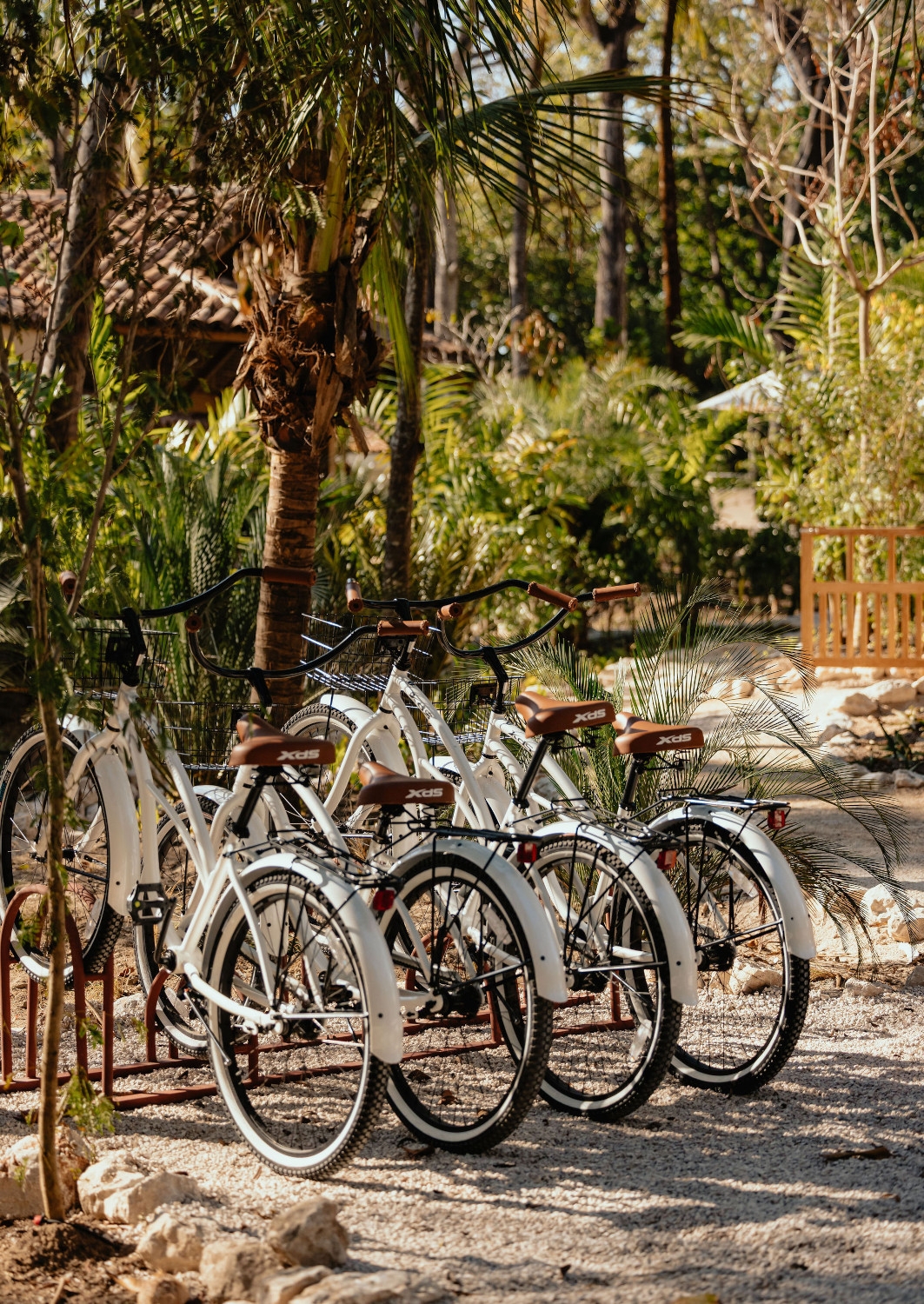 Exterior of several white rental bicycles on a bike rack with greenery and palm trees in the background.