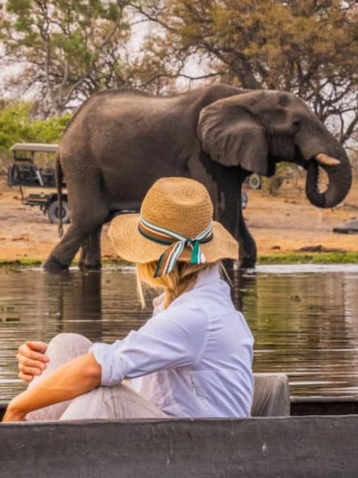 A woman sitting in a mokoro and looking at an elephant nearby