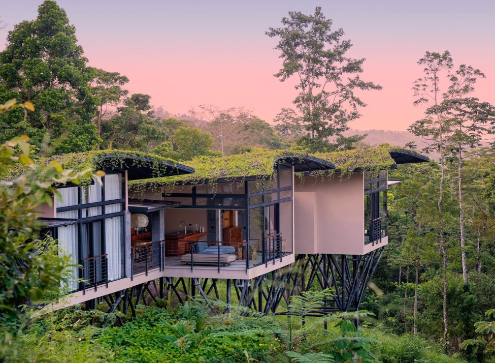 Three lodge buildings with big windows set into a canopy of forest with a punk sunset sky in the background
