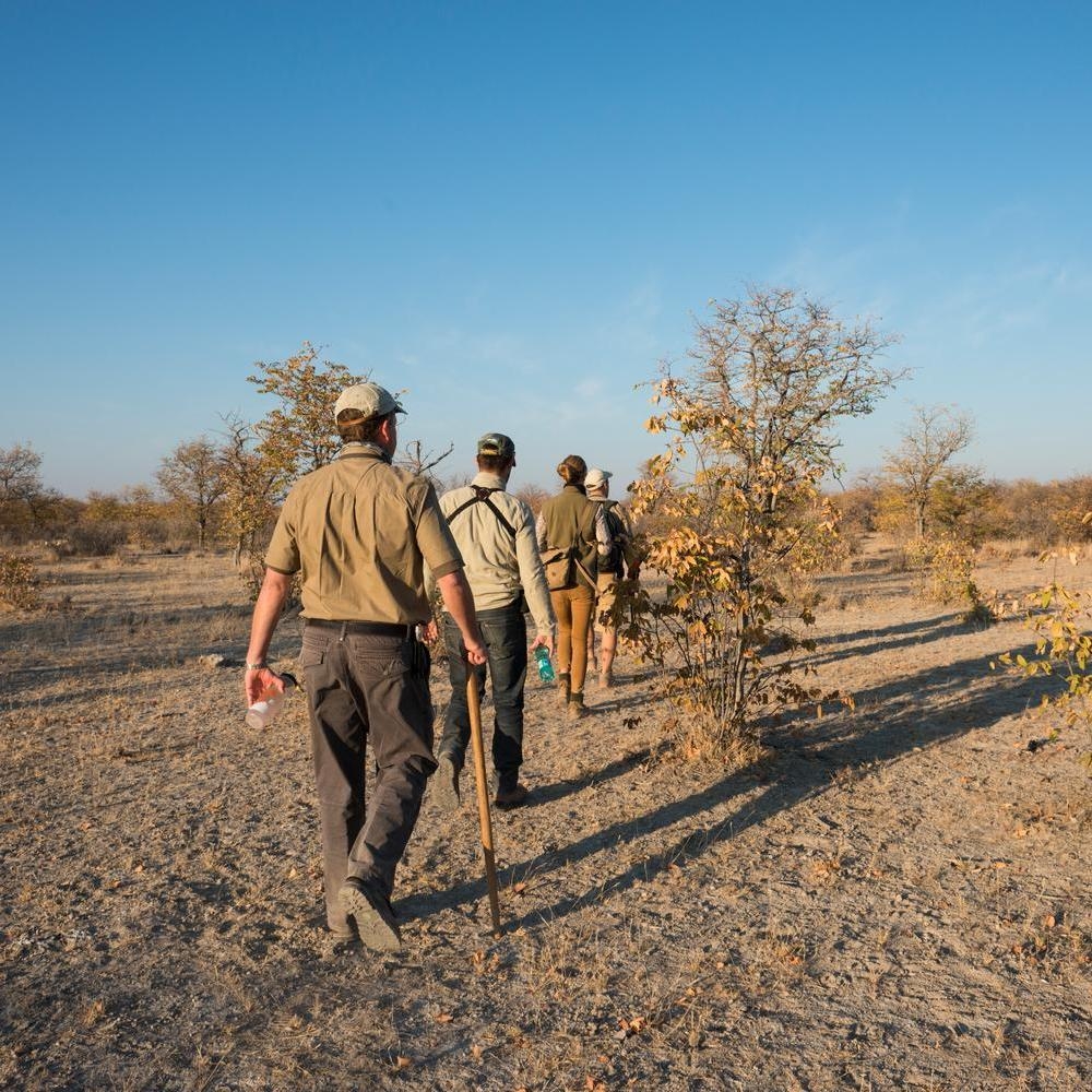 Five people, seen from behind, walk in a line through dry, sandy African savanna terrain during the golden hour, led by a guide.