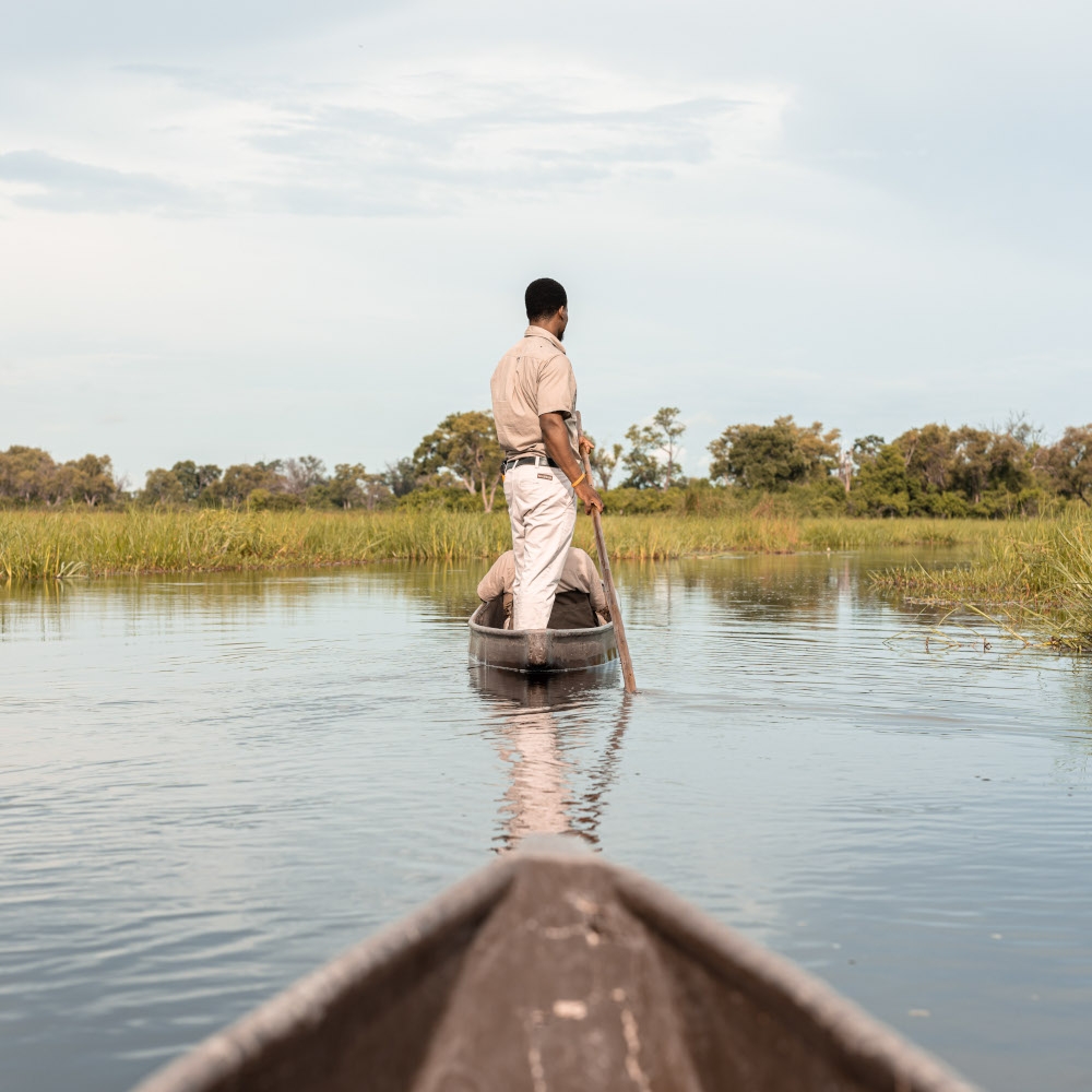 View of the front of a canoe gliding through water and reeds, and ahead is another canoe with a guide standing and steering with a stick.