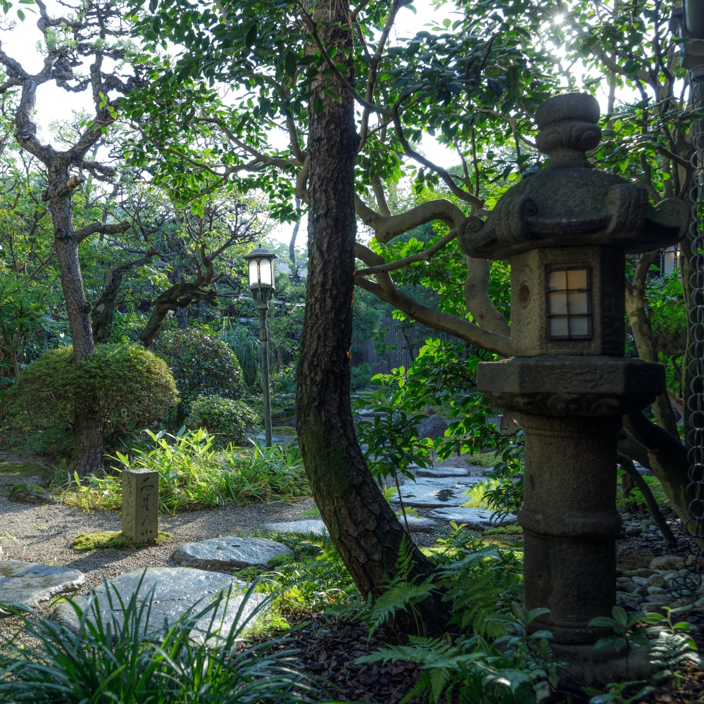 Traditional Japanese garden with curving trees, vines and pathways and a carved stone lantern marker in the foreground.