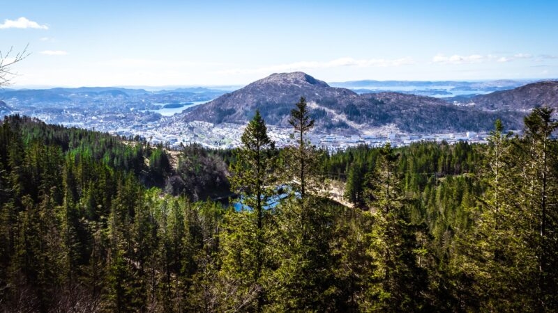 View on the Lovstakken mountain from Floyen