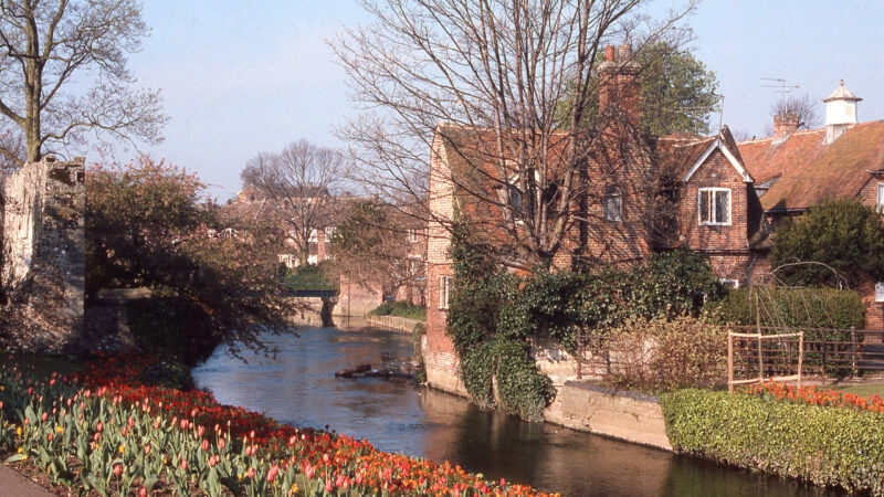 Canal spring tulips city center and park Canterbury England