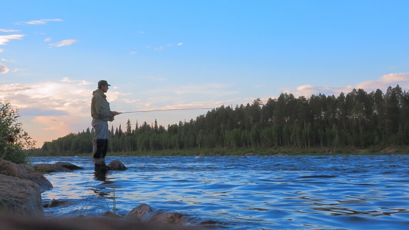 Profile of a person fly fishing in a wide blue river with a dense evergreen forest on the opposite bank at dusk.