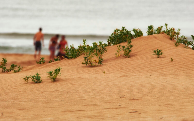 Sandy beach, Punta del Este, Uruguay